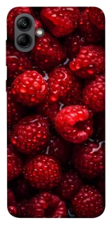 Чехол на Samsung Galaxy A04 Малинка фото 1 из 1