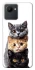 Чехол на Realme C30 Красивые котики фото 1 из 1