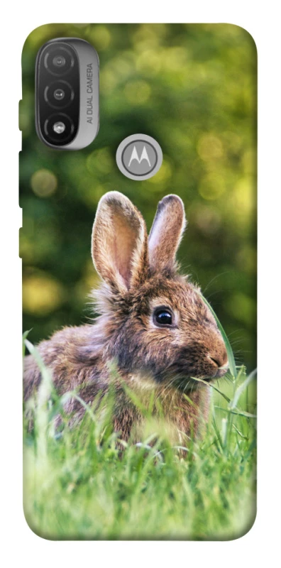 Чохол на Motorola Moto E20 Кролики фото 1 з 1