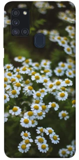 Чехол на Samsung Galaxy A21s Ромашки v13 фото 1 из 1