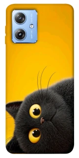 Чехол на Motorola Moto G84 This is Cat фото 1 из 1