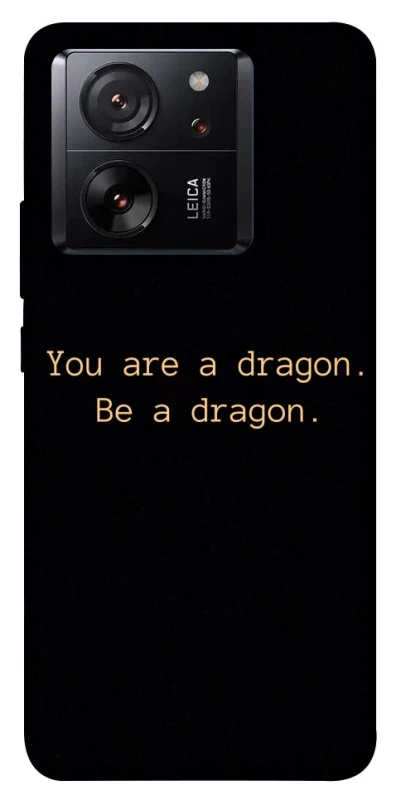 Чехол на Xiaomi 13T Pro House of the Dragon ver.9 фото 1 из 1