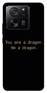 Чехол на Xiaomi 13T Pro House of the Dragon ver.9 фото 1 из 1