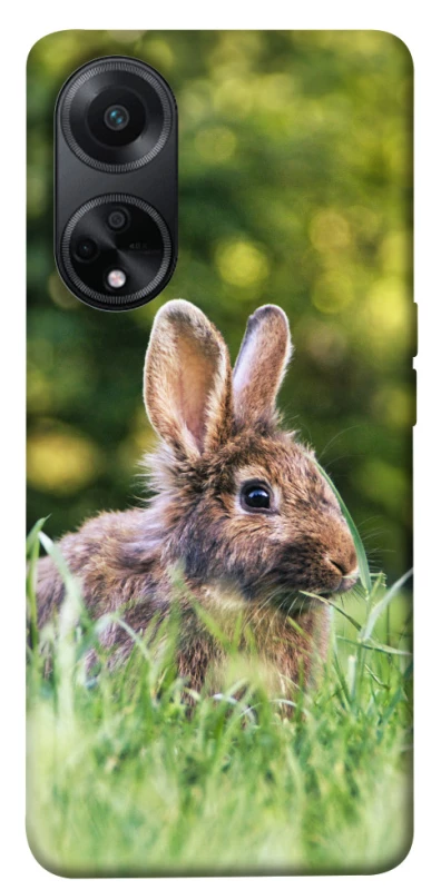 Чехол на Oppo A98 Кролики фото 1 из 1