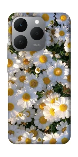 Чохол на Realme 15T Поле ромашок фото 1 з 1