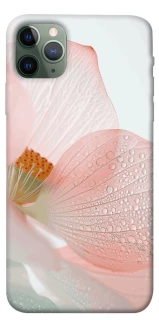 Чехол на Apple iPhone 11 Pro Max (6.5") Flowers zon фото 1 из 1