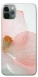 Чехол на Apple iPhone 11 Pro Max (6.5") Flowers zon фото 1 из 1