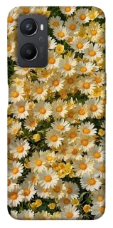 Чехол на Oppo A96 Camomile фото 1 из 1