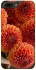 Чехол на Apple iPhone 7 plus / 8 plus Flower1 фото 1 из 1