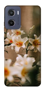 Чохол на Motorola Moto G05 Лілії фото 1 з 1