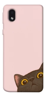 Чохол на Samsung Galaxy M01 Core / A01 Core Peeping cat фото 1 з 1