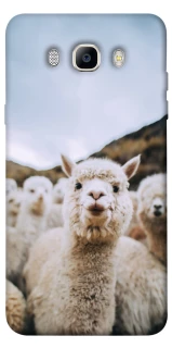 Чохол на Samsung J510F Galaxy J5 (2016) Лама фото 1 з 1