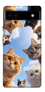 Чехол на Google Pixel 6a Cats фото 1 из 1