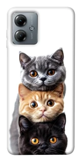 Чохол на Motorola Moto G14 Гарні котики фото 1 з 1