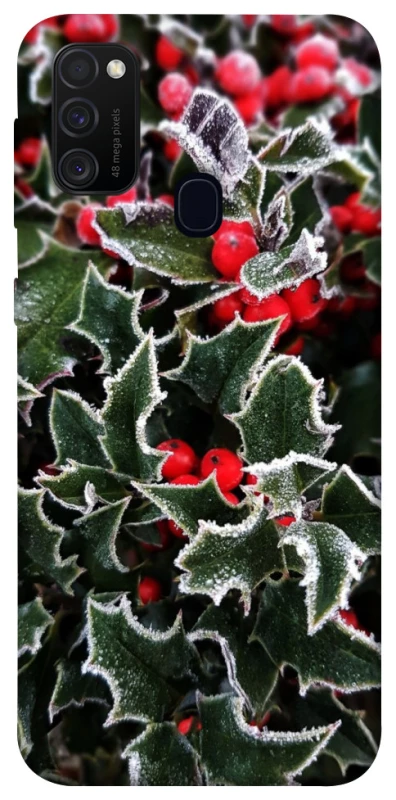 Чохол на Samsung Galaxy M30s / M21 Новорічний v32 фото 1 з 1