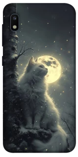 Чохол на Samsung Galaxy A10 (A105F) Кіт під місяцем фото 1 з 1