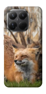 Чохол на Xiaomi 15T Pro Лисиця фото 1 з 1