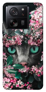 Чохол на Xiaomi 13T Pro Кіт в квітах фото 1 з 1