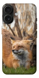 Чехол на Apple iPhone 17 (6.3") Лиса фото 1 из 1