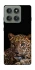Чехол на Motorola Edge 60 Pro Leopard v4 фото 1 из 1