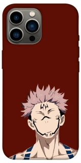 Чохол на Apple iPhone 12 Pro Max (6.7") Sakuna v3 фото 1 з 1