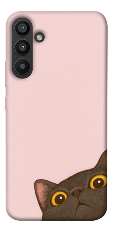 Чохол на Samsung Galaxy A34 5G Peeping cat фото 1 з 1