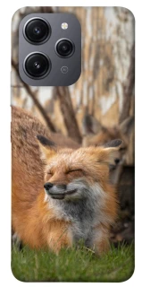 Чехол на Xiaomi Redmi 12 Лиса фото 1 из 1