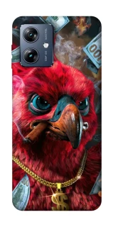 Чохол на Motorola Moto G54 Power Папуга фото 1 з 1