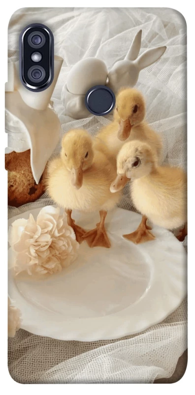 Чехол на Xiaomi Redmi Note 5 Pro / Note 5 (AI Dual Camera) Easter Vibes фото 1 из 1