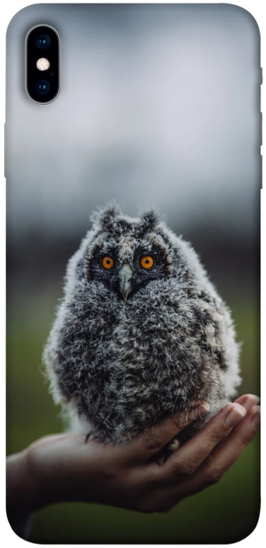 Чохол на Apple iPhone XS Max (6.5") Совеня фото 1 з 1