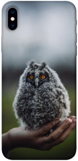 Чохол на Apple iPhone XS Max (6.5") Совеня фото 1 з 1