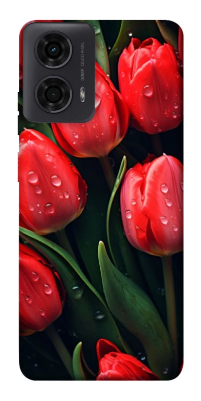 Чохол на Motorola Moto G04 Червоні тюльпани фото 1 Чохол на Motorola Moto G04 Червоні тюльпани фото 1 з 1