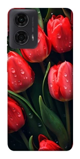 Чохол на Motorola Moto G04 Червоні тюльпани фото 1 Чохол на Motorola Moto G04 Червоні тюльпани фото 1 з 1