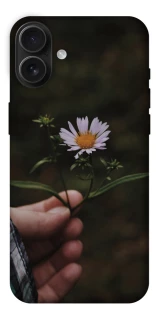 Чехол на Apple iPhone 16 Plus Ромашка v4 фото 1 из 1