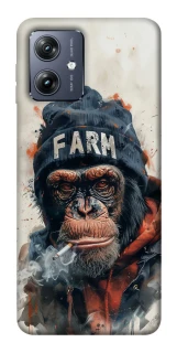 Чохол на Motorola Moto G54 Шимпанзе v3 фото 1 Чохол на Motorola Moto G54 Шимпанзе v3 фото 1 з 1