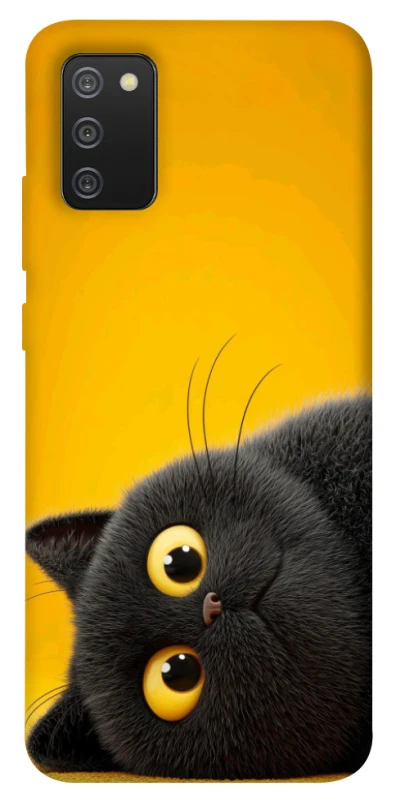 Чохол на Samsung Galaxy A02s This is Cat фото 1 з 1