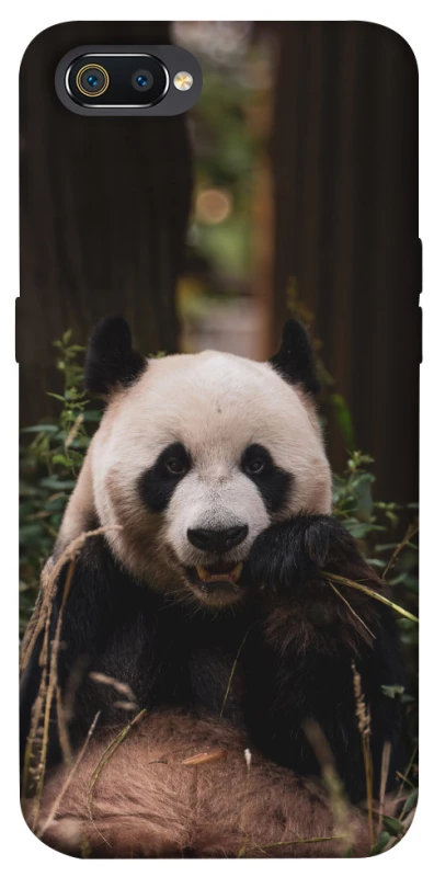 Чохол на Realme C2 Панда фото 1 з 1