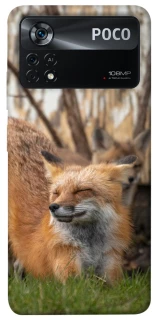 Чехол на Xiaomi Poco X4 Pro 5G Лиса фото 1 из 1