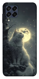 Чохол на Samsung Galaxy M33 5G Кіт під місяцем фото 1 з 1