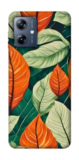 Чохол на Motorola Moto G54 Power Leaves фото 1 з 1