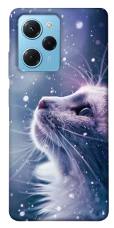 Чехол на Xiaomi Poco X5 Pro 5G Snow cat фото 1 из 1