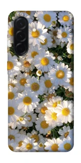 Чехол на Samsung Galaxy A37 5G Поле ромашек фото 1 из 1