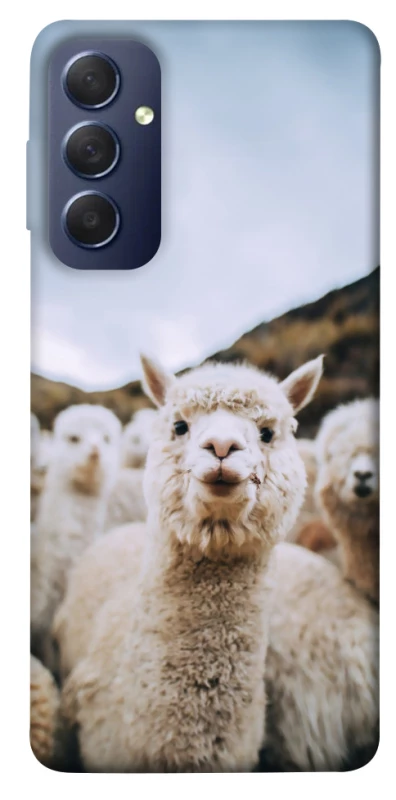 Чохол на Samsung Galaxy M54 5G Лама фото 1 з 1