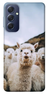 Чохол на Samsung Galaxy M54 5G Лама фото 1 з 1