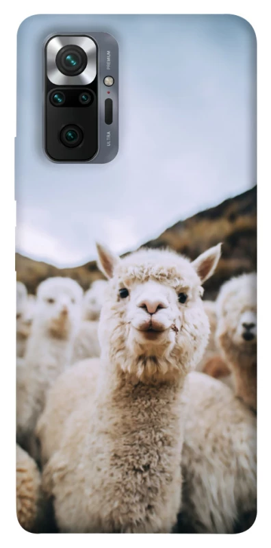 Чохол на Xiaomi Redmi Note 10 Pro Лама фото 1 з 1