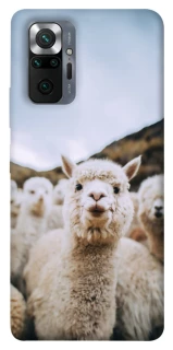 Чохол на Xiaomi Redmi Note 10 Pro Лама фото 1 з 1