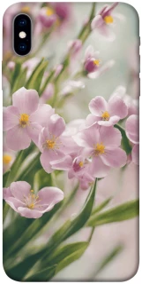 Чехол на Apple iPhone X (5.8") Spring фото 1 из 1