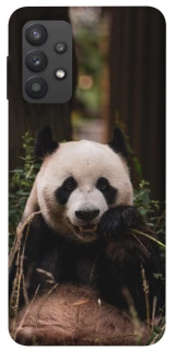 Чехол на Samsung Galaxy A32 (A325F) 4G Панда фото 1 из 1
