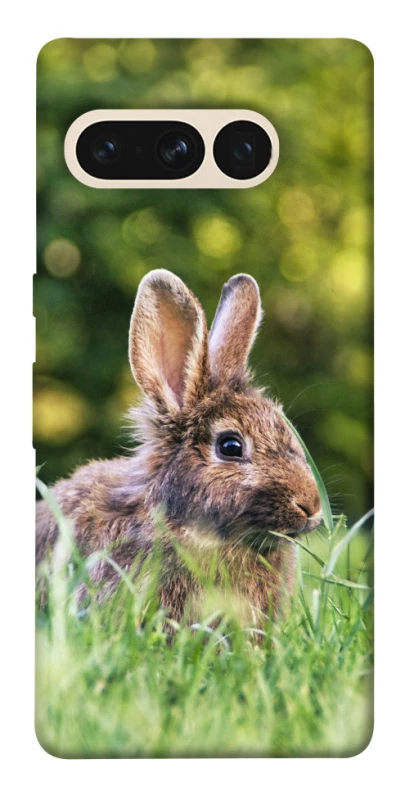 Чохол на Google Pixel 7 Pro Кролики фото 1 з 1