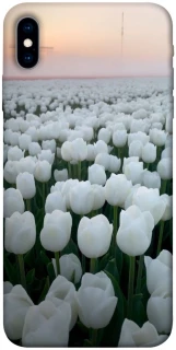 Чохол на Apple iPhone X (5.8") Flowers v1 фото 1 з 1